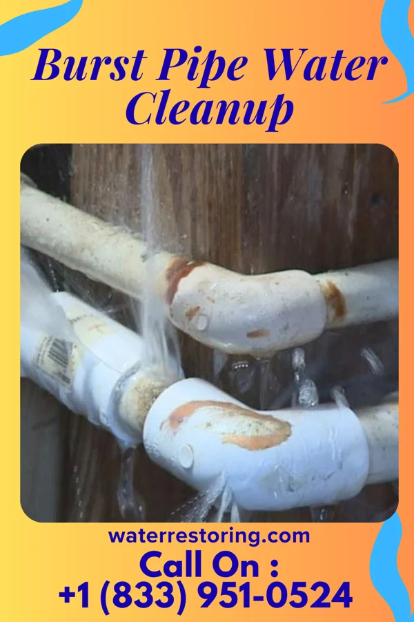 Burst Pipe Water Cleanup in Hawaiian Beaches, HI