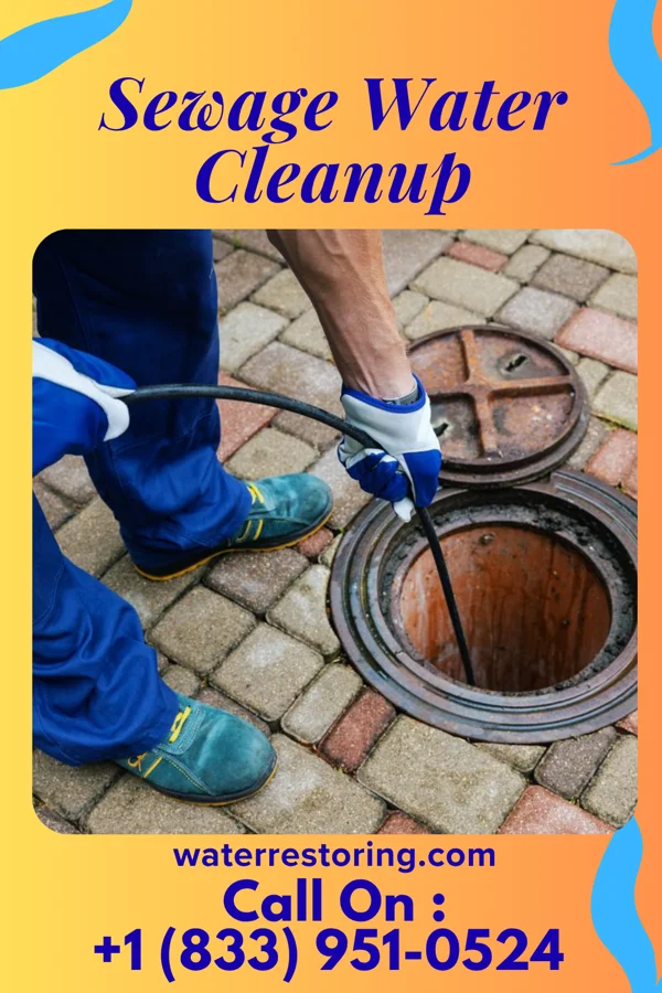 Sewage Water Cleanup in Hawaiian Beaches, HI