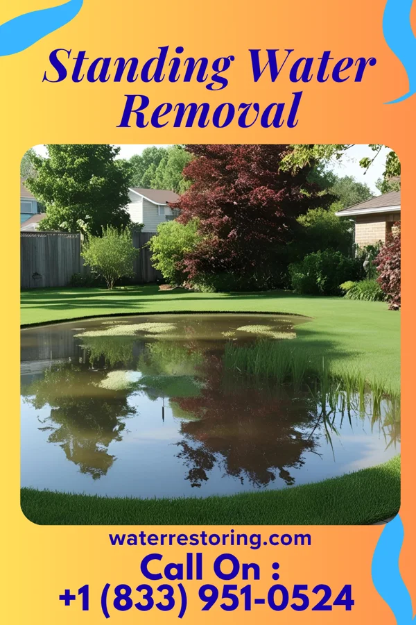 Standing Water Removal in Hawaiian Beaches, HI
